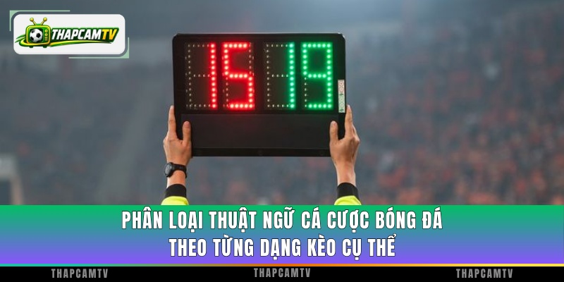 Phân loại thuật ngữ cá cược bóng đá theo từng dạng kèo cụ thể