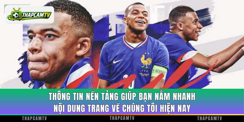 Thông tin nền tảng giúp bạn nắm nhanh nội dung trang về chúng tôi hiện nay